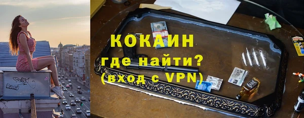 СК Алексин
