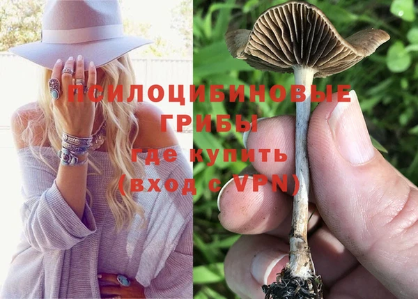 ешки Арсеньев