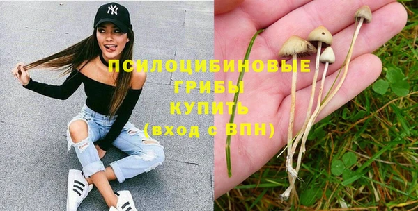 PSILOCYBIN Аркадак